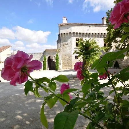 Rustic Chateau With Pool And Views Near Agen בית נופש *