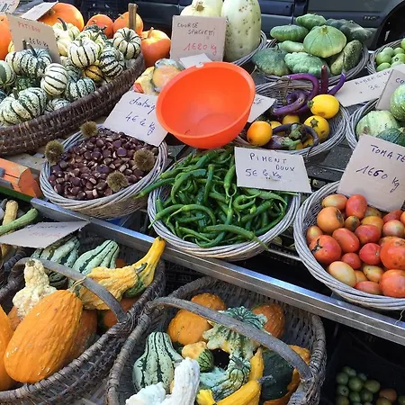 Castle Near Agen With Shared Pool