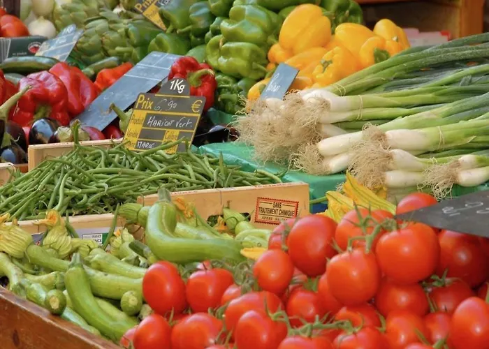 Castle Near Agen With Shared Pool *