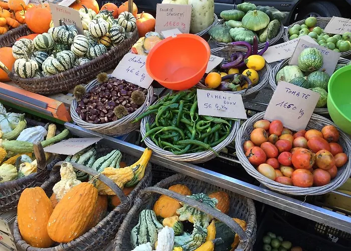 Castle Near Agen With Shared Pool